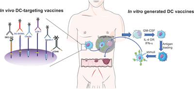 Advances in Human Dendritic Cell-Based Immunotherapy Against Gastrointestinal Cancer